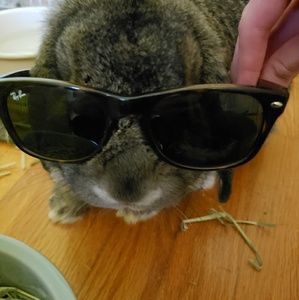 Meet your Posher, Isabelle